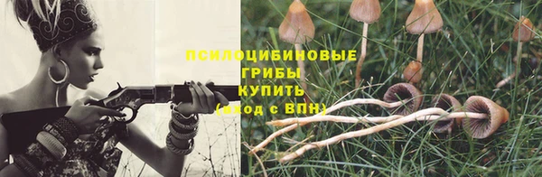 Альфа ПВП Зерноград