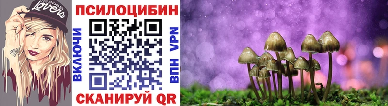Псилоцибиновые грибы Psilocybe  Купить закладки  Осинники 